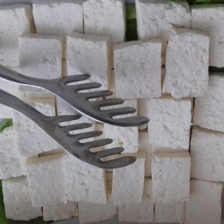 Garni Hotel Crystal Ice Ni Dış mekan fotoğraf